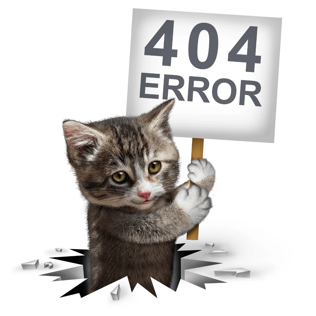 404 Page Not Found